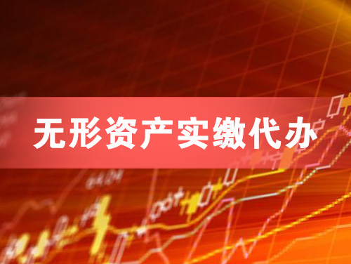 红河无形资产实缴资本代办