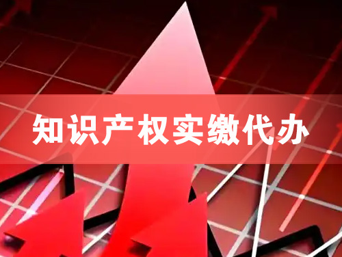 红河知识产权实缴资本代办